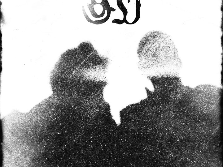 191209 - COMMON EIDER, KING EIDER (USA), BIRD PEOPLE (A)