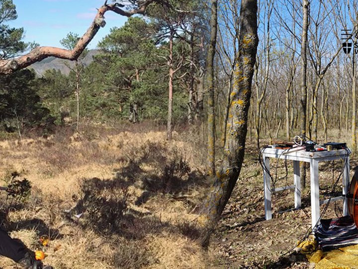 210420 - XX Y X AGNES HVIZDALEK (A), BILLY ROISZ (A)