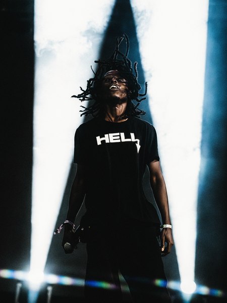 Lord Spikeheart image